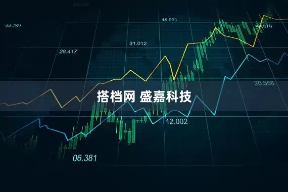 搭档网 盛嘉科技